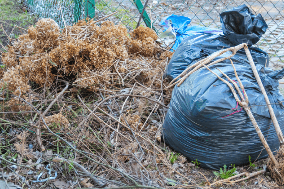 Mizell Junk Removal